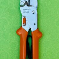 WhatsApp Image 2024-11-17 at 2.19.23 PM