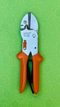 WhatsApp Image 2024-11-17 at 2.19.23 PM