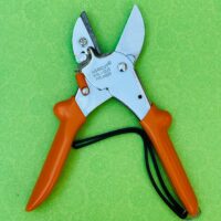 WhatsApp Image 2024-11-17 at 2.19.24 PM (1)