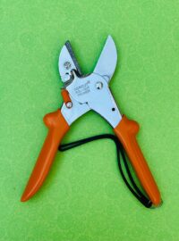 WhatsApp Image 2024-11-17 at 2.19.24 PM (1)