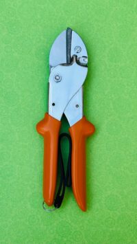 WhatsApp Image 2024-11-17 at 2.19.24 PM