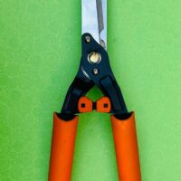 WhatsApp Image 2024-11-17 at 2.22.43 PM (2)