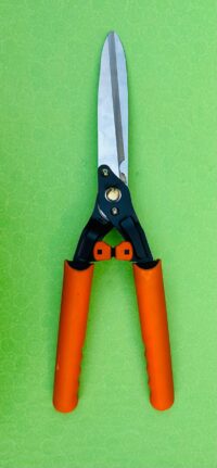 WhatsApp Image 2024-11-17 at 2.22.43 PM (2)