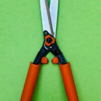 WhatsApp Image 2024-11-17 at 2.22.44 PM